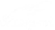 Scorpion Express Logo